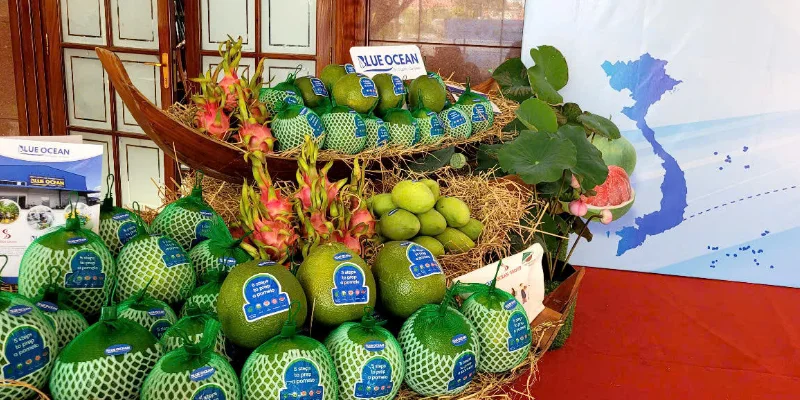 Hành trình "giải mã" bộ rào cản kỹ thuật khắt khe của Úc